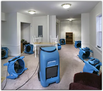 Drying & Dehumidification in Grafton, MA