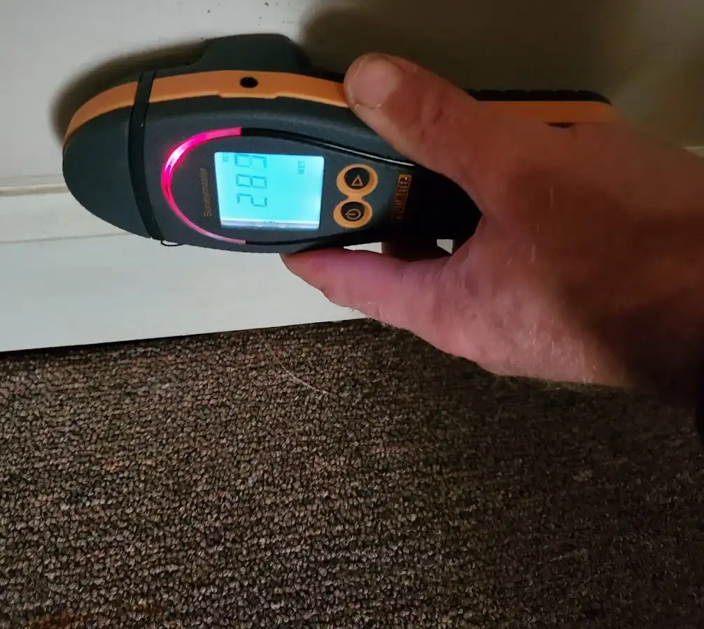 Moisture detection at baseboard during Sewage Cleanup & Sanitation in Grafton